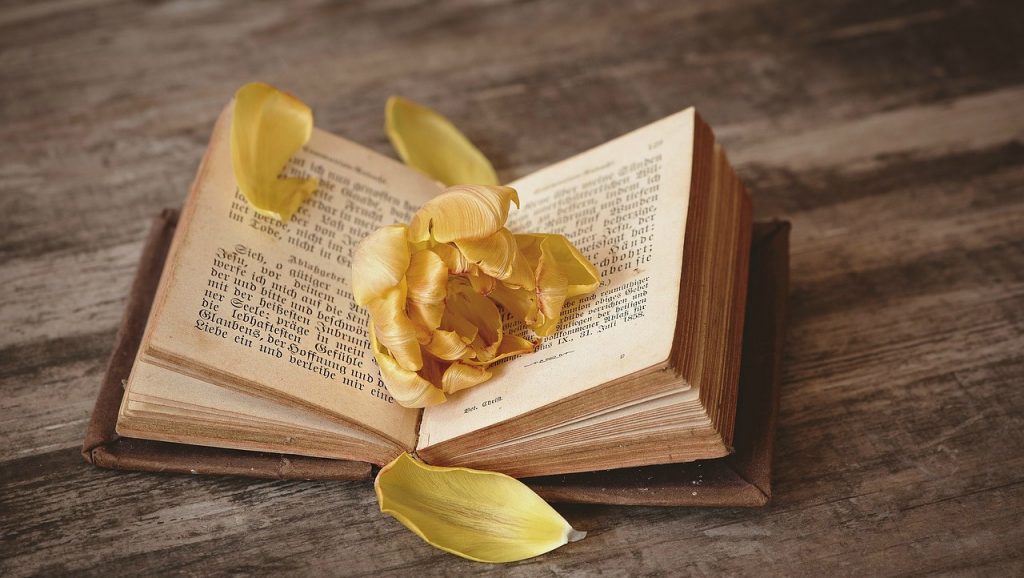 come scrivere una recensione di un libro