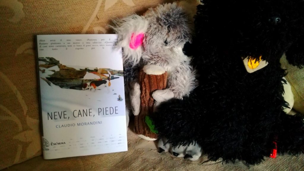 neve cane piede recensione