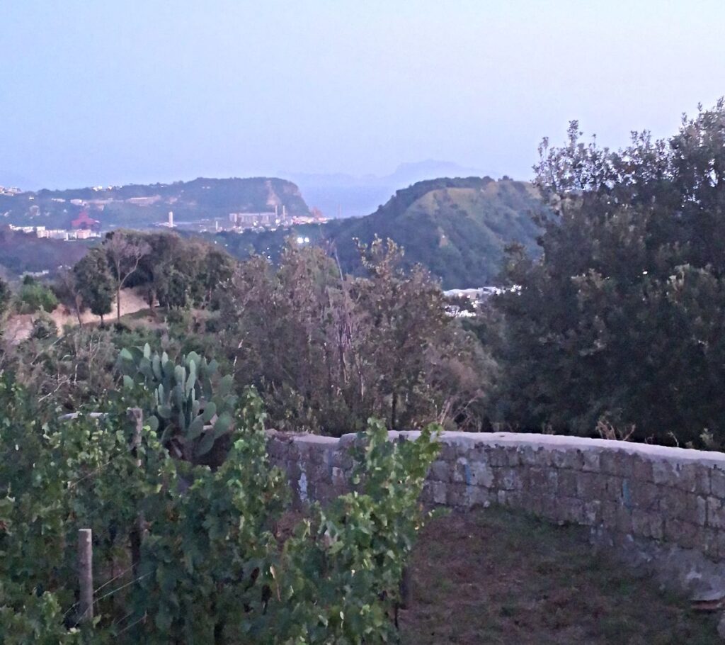 Campi Flegrei, panorama da Cantine Astroni